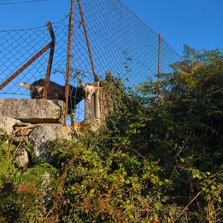 Appartamento Casa De Baixo *