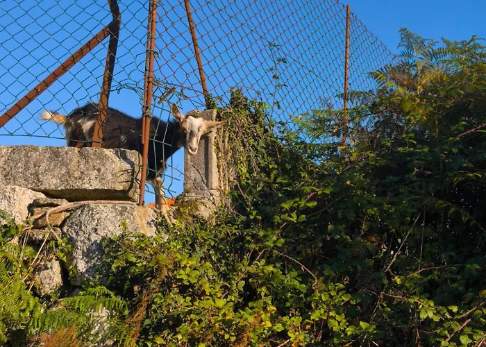 Appartement Casa De Baixo *